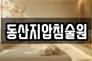 동산지압침술원