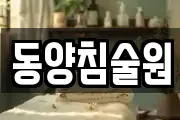 동양침술원