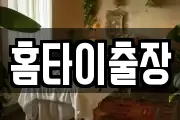 홈타이출장
