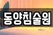 동양침술원