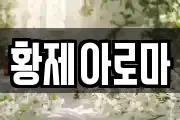 황제아로마