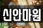 신안마원
