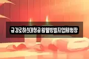 금강로하스대청공원웰빙발지압체험장