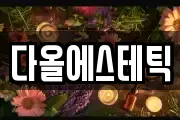 다올에스테틱