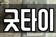 굿타이