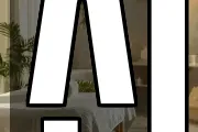 신