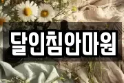 대전광역시 대덕구 오정동 마사지, 지압등 업체정보