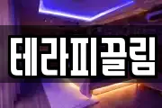 테라피끌림