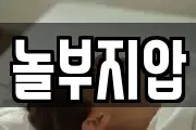 놀부지압