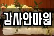감사안마원