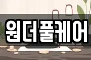 원더풀케어