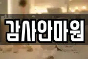 감사안마원