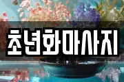 대전광역시 동구 소제동 마사지, 지압등 업체정보