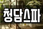 청담스파
