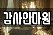 감사안마원