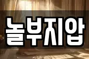 놀부지압