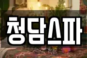 청담스파