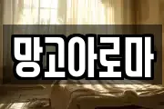 망고아로마