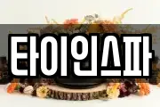 타이인스파