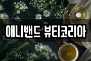 애니밴드 뷰티코리아