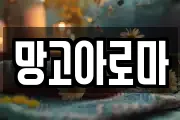 망고아로마