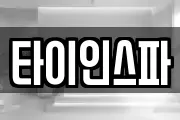 타이인스파