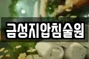 금성지압침술원