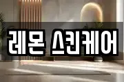 레몬 스킨케어