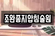 조완종지압침술원