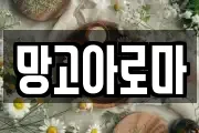 망고아로마
