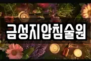 금성지압침술원