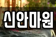 신안마원