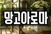 망고아로마