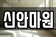 신안마원