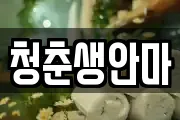 청춘생안마