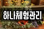하나체형관리
