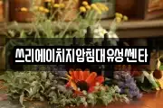 쓰리에이치지압침대유성쎈타