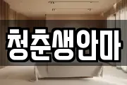 청춘생안마
