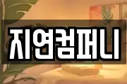 지연컴퍼니