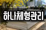 하나체형관리