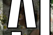 신