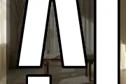 신