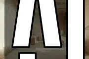 신