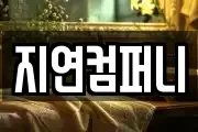 지연컴퍼니