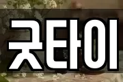 굿타이