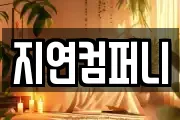지연컴퍼니