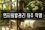 연지원발관리 사주 작명