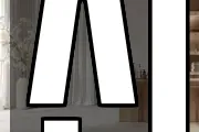 신