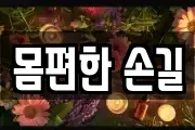 몸편한 손길