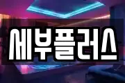 세부플러스